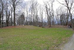 IMG_1199.jpg