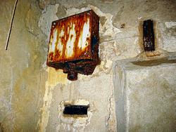IMG_6496
